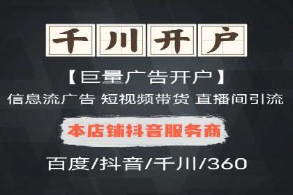 百度竞价广告投放策略：案例分析及效果评估